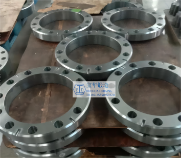 Sales Finished Flange 