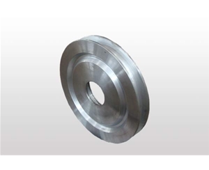 Stainless Steel Flanges