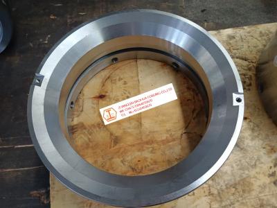 Oil Forged Flange